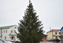 На центральной площади Ряжска установили новогоднюю ель